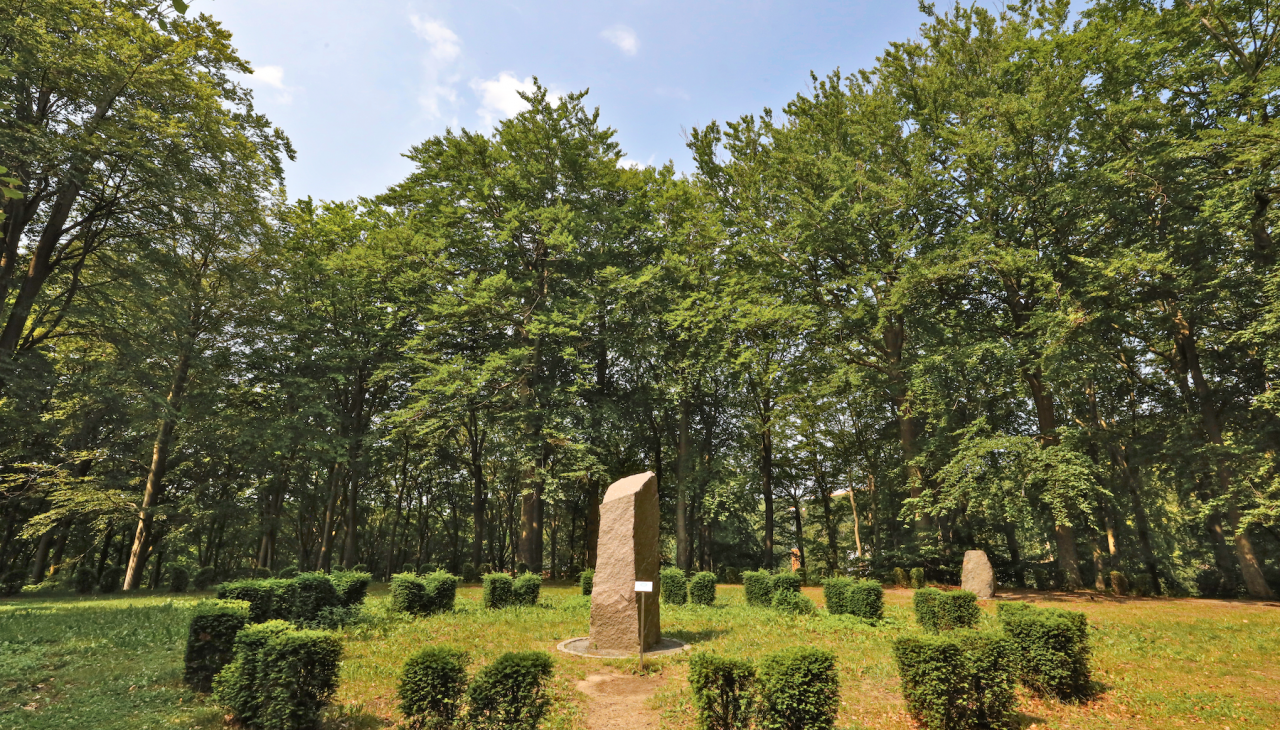 friedensberg-ostseebad-sellin_1, © TMV/Gohlke friedensberg-ostseebad-sellin_1, © TMV/Gohlke