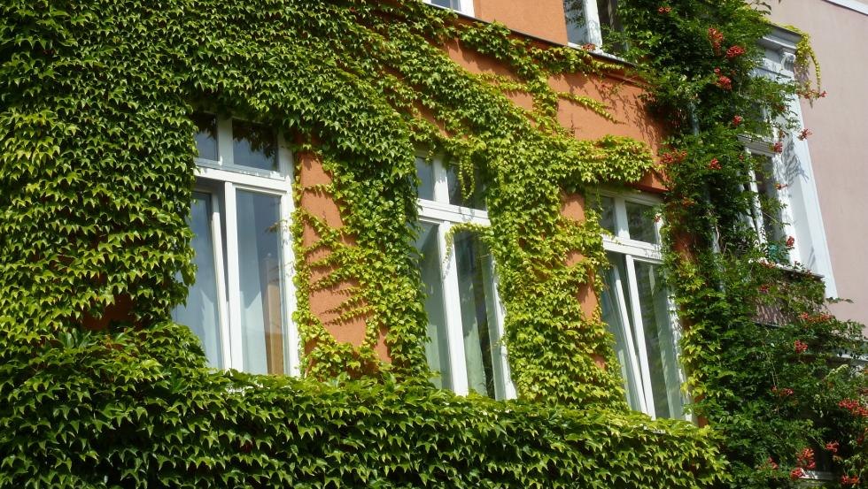 Haus Au&szlig;enansicht, &copy; Galina Diran