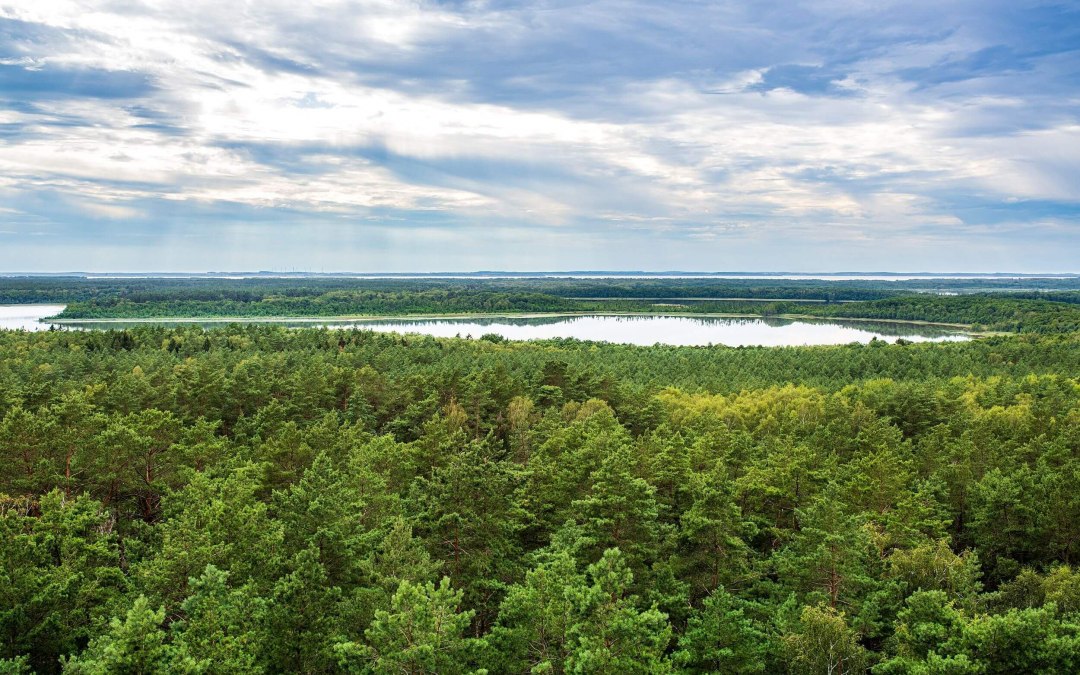 Naturbeobachtung in der Mecklenburgischen Seenplatte, © TMV/Tiemann