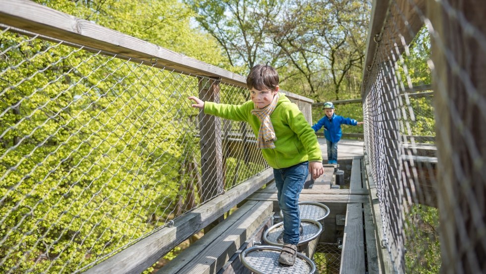 &copy; Erlebnis Akademie AG / Naturerbe Zentrum R&uuml;gen