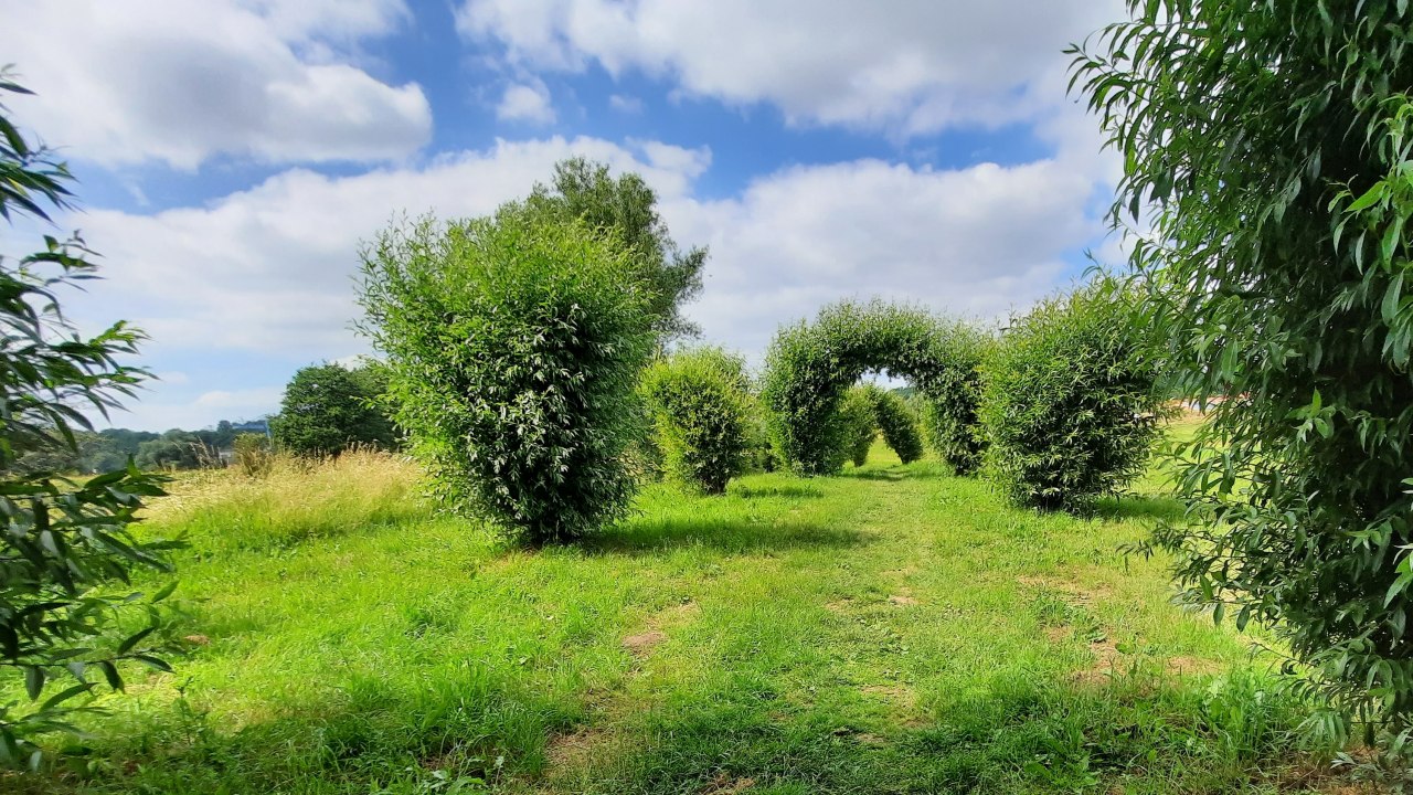 © M. Lenthe © M. Lenthe