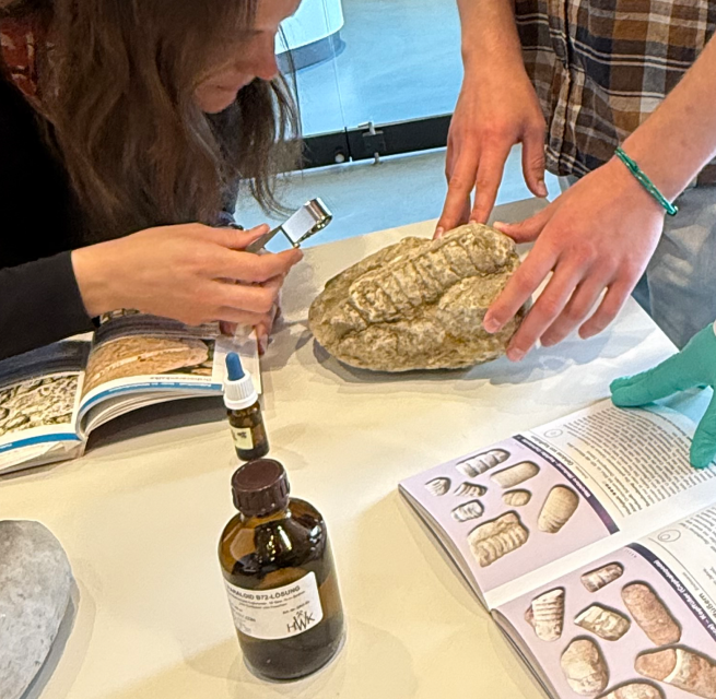 Was ist das f&uuml;r ein Gestein? // &copy; Claudia Siatkowski/M&uuml;ritzeum