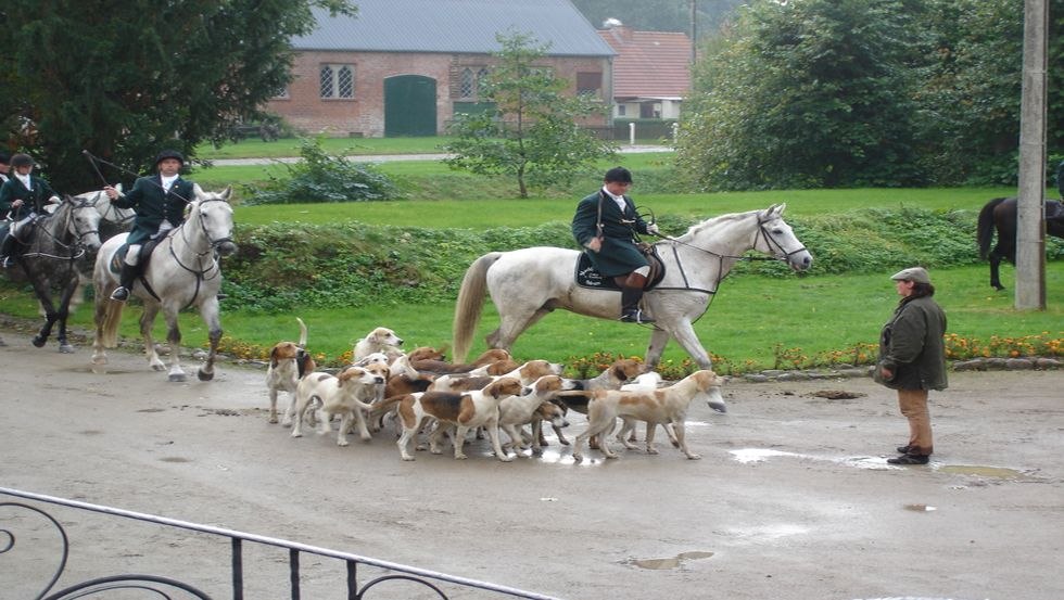 mecklenburger-meute_1, © Mecklenburger Meute mecklenburger-meute_1, © Mecklenburger Meute