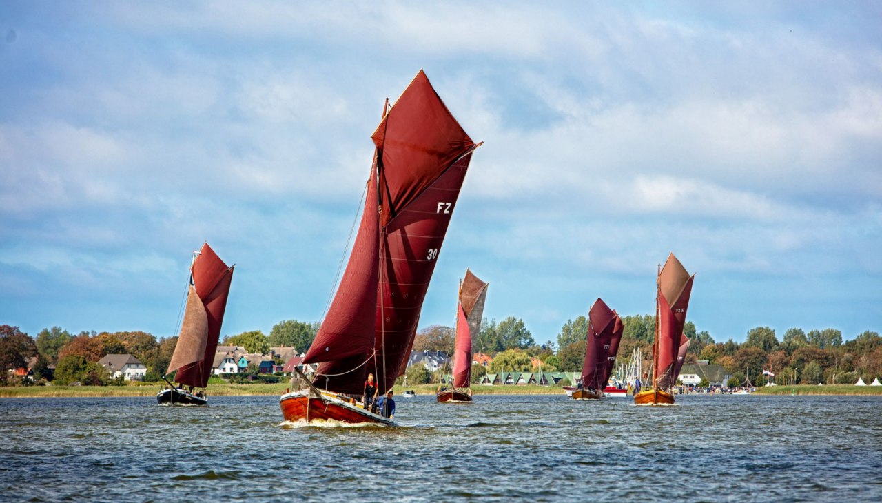 Fischerregatta Bodden, &copy; Voigt&Kranz UG, ostsee-kuestenbilder.de