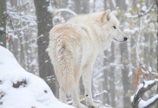 © Hansestadt Stralsund © Hansestadt Stralsund