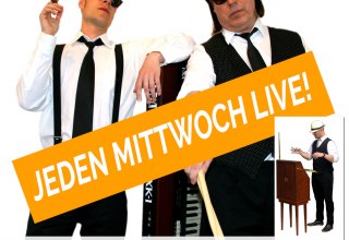 © www.meyer-theremin.de © www.meyer-theremin.de