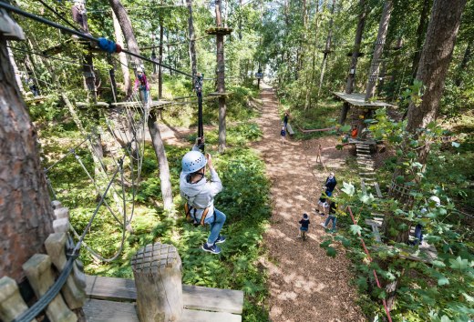 Der Kletterwald im Ostseebad Binz lockt Wagemutige in schwindelnde Höhe. // © MV-T/Tiemann Der Kletterwald im Ostseebad Binz lockt Wagemutige in schwindelnde Höhe. // © MV-T/Tiemann