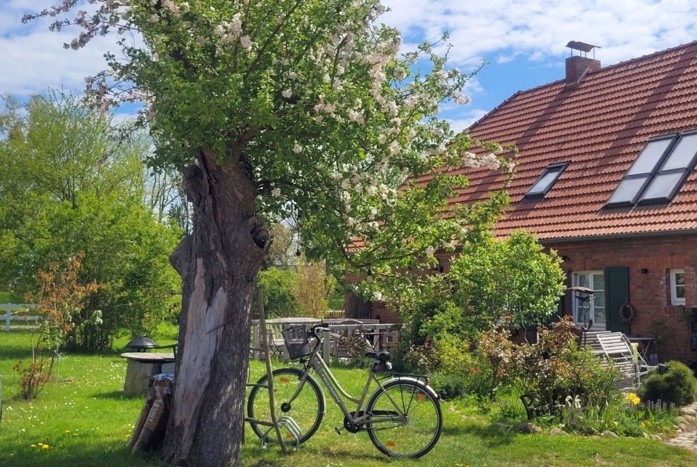 IMG-20230712-WA0019, © Seminar- und Landhotel Schönbeck / Szeszkat IMG-20230712-WA0019, © Seminar- und Landhotel Schönbeck / Szeszkat