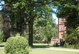 Eindrucksvoll erhebt sich die Säulen-Stileiche links neben der Villa., © Gabriele Skorupski Eindrucksvoll erhebt sich die Säulen-Stileiche links neben der Villa., © Gabriele Skorupski