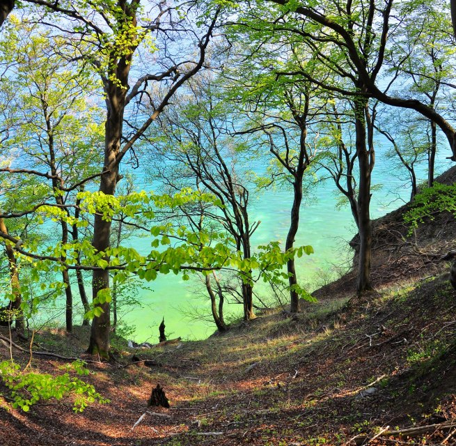 © Nationalparkamt Vorpommern © Nationalparkamt Vorpommern