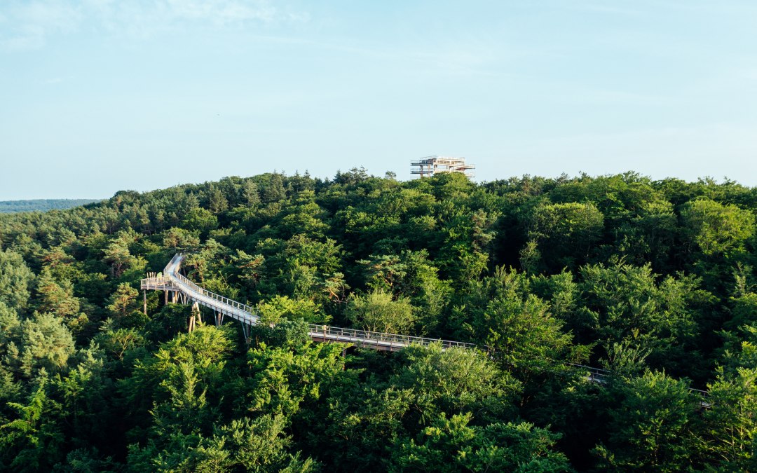 Der Baumwipfelpfad auf der Insel Usedom aus der Luft im Wald eingebettet und mit Blick auf die Ostsee. // © MV-T/Gänsicke Der Baumwipfelpfad auf der Insel Usedom aus der Luft im Wald eingebettet und mit Blick auf die Ostsee. // © MV-T/Gänsicke
