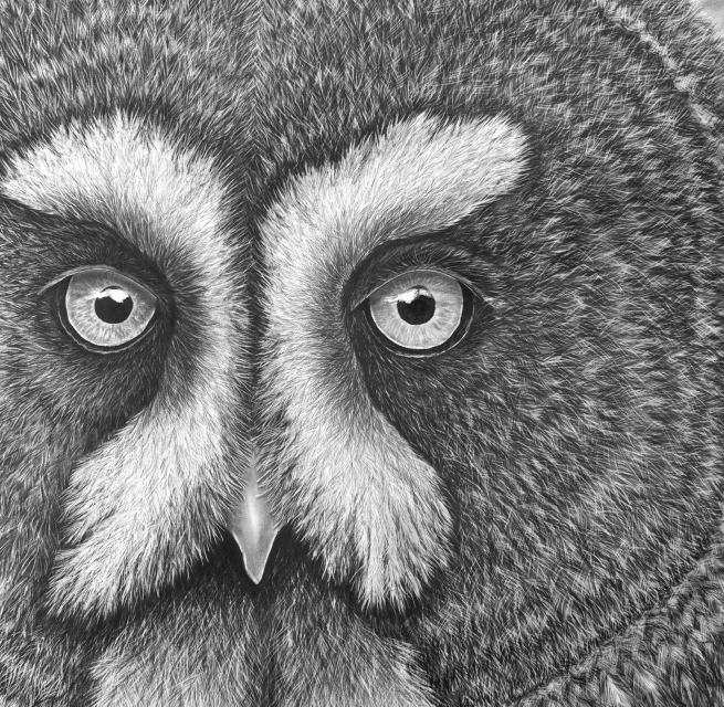 Bleistiftzeichnung von Ralf Wilhelm Schmidt // &copy; Ralf Wilhelm Schmidt/M&uuml;ritzeum