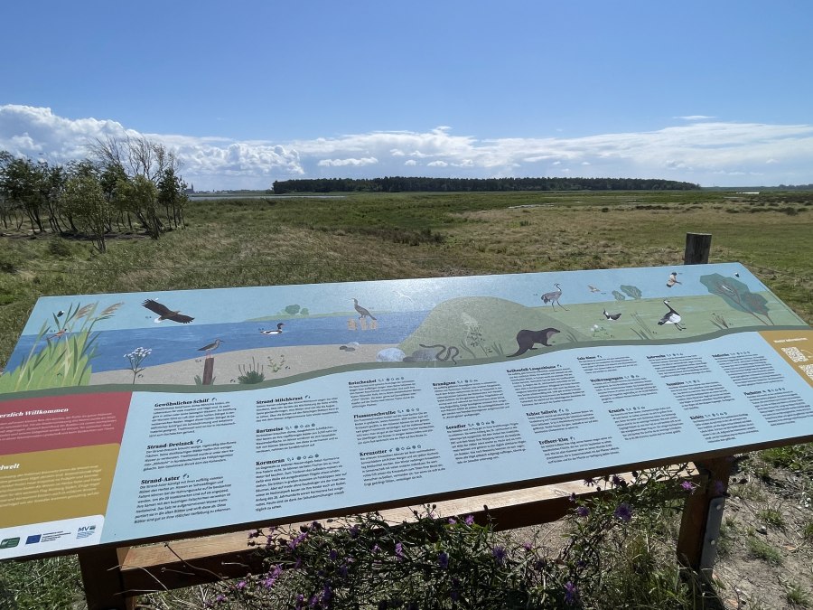 Aussichtspunkt Zur Oie Bresewitz, © TZ Südliche Boddenküste