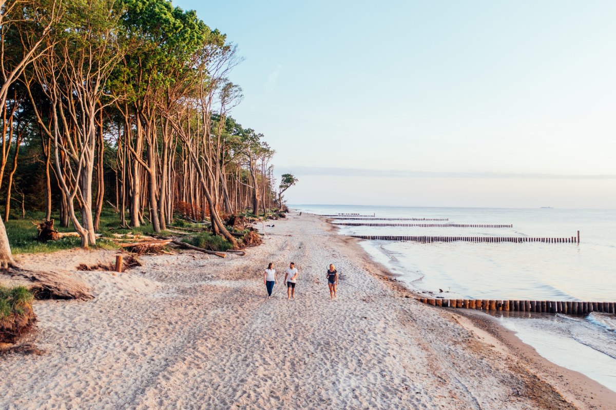 Strandidylle in der Rostocker Heide // © TMV/Gänsicke Strandidylle in der Rostocker Heide // © TMV/Gänsicke