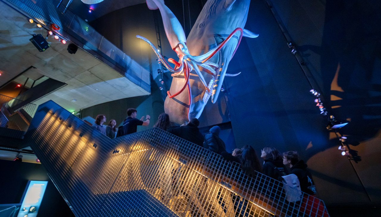 Eine Gruppe steht auf einer Treppe unter h&auml;ngenden originalgro&szlig;en Walmodellen, &copy; Anke Neumeister/Deutsches Meeresmuseum