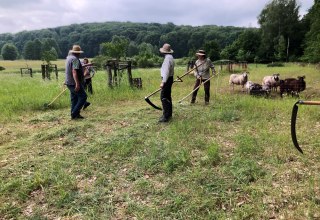 Mäh- und Dengelkurs 2024, © Heike Brechler