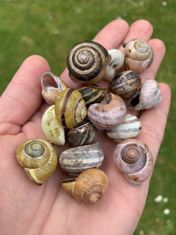 &copy; Antje Joost-Hirsekorn