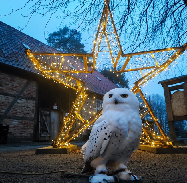 © Hansestadt Stralsund © Hansestadt Stralsund