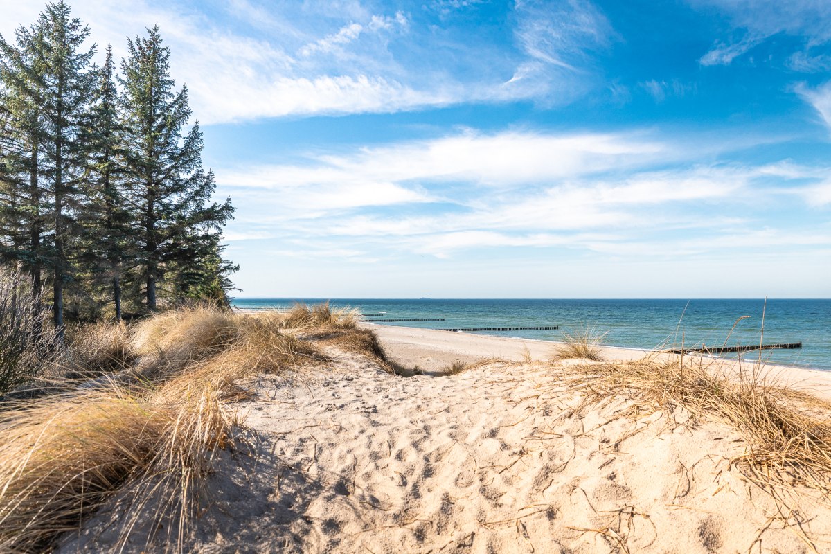 Boswandeling langs de kust "Tussen het geluid van golven en gefluister van het bos". // &copy; Andr&eacute; Pristaff / TuK