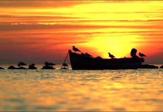 &copy; Nico Offermann