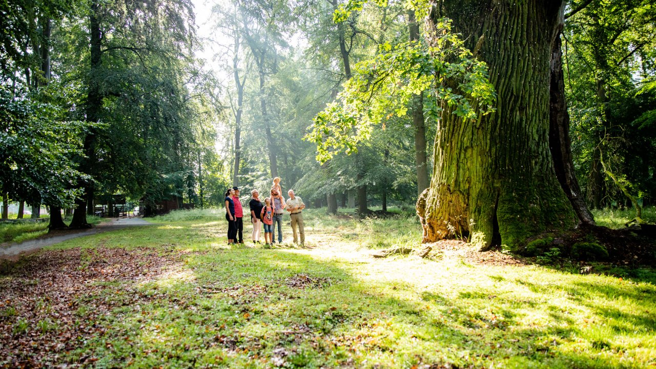 © Landesforst MV © Landesforst MV