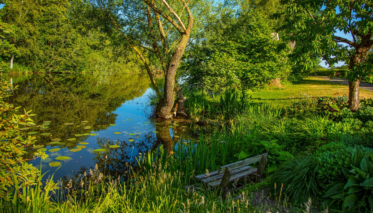 Rustplaats in het kasteelpark, © Herrenhaus Brookhusen / T. Paulus Rustplaats in het kasteelpark, © Herrenhaus Brookhusen / T. Paulus