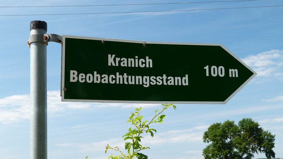 Tankow bietet den perfekten Beobachtungspunkt für Kraniche, © Ummanz-Information/Bordych Tankow bietet den perfekten Beobachtungspunkt für Kraniche, © Ummanz-Information/Bordych