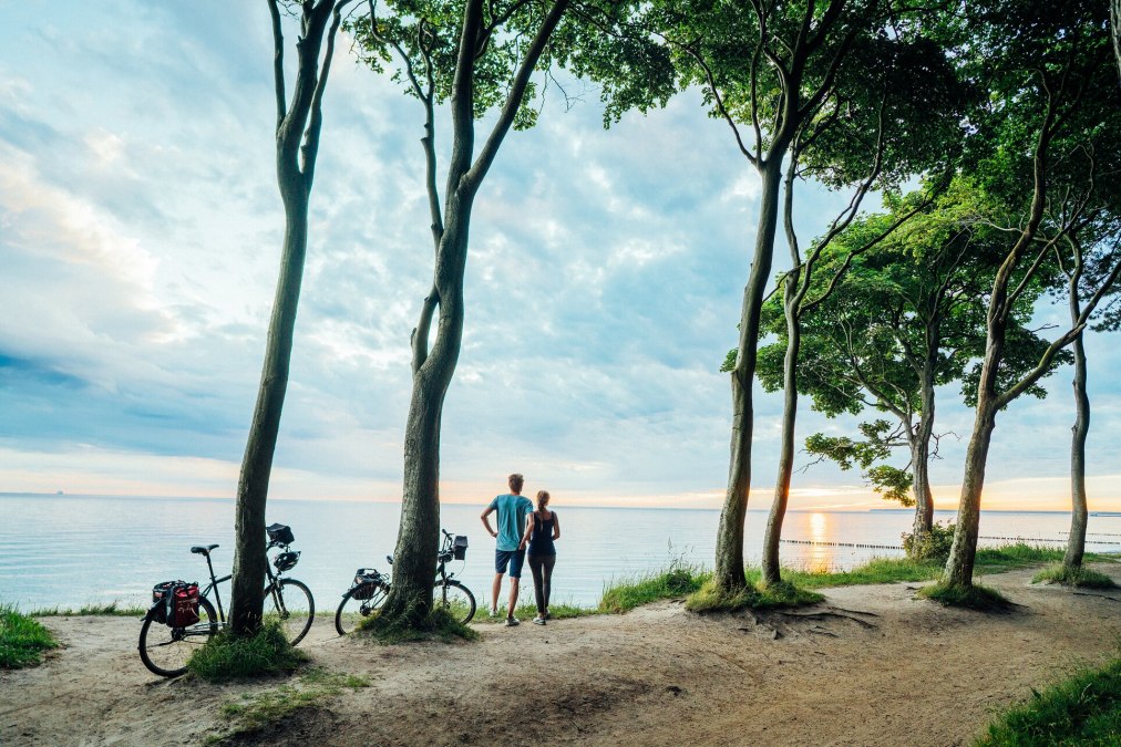 Der Nienhägener Gespensterwald liegt direkt an der Ostseeküste, © TMV/Gänsicke Der Nienhägener Gespensterwald liegt direkt an der Ostseeküste, © TMV/Gänsicke
