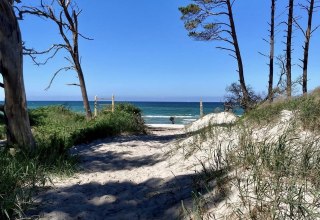 Dar&szlig;er Weststrand // &copy; Islandpferdehof Fischland