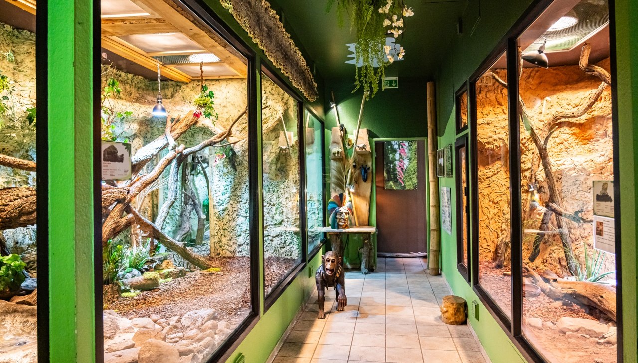 Tropenhaus_Bansin_CopyR_Marcel_Piper (29), © Tropenzoo_Bansin_Marcel_Piper Tropenhaus_Bansin_CopyR_Marcel_Piper (29), © Tropenzoo_Bansin_Marcel_Piper