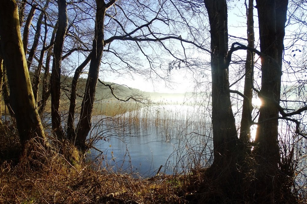 &copy; Andreas Breuer