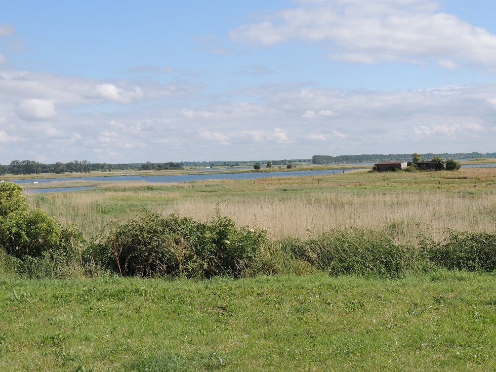 Blick auf die Salzwiesen vom Rastplatz // © Kurverwaltung Insel Poel Blick auf die Salzwiesen vom Rastplatz // © Kurverwaltung Insel Poel