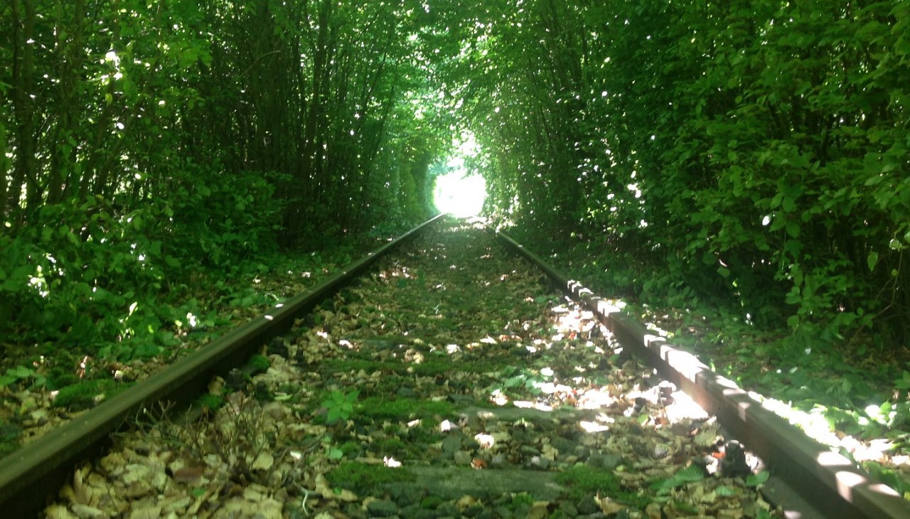 Einfahrt in den ca. 1km langen Buchentunnel, &copy; Naturpark Draisine Dargun