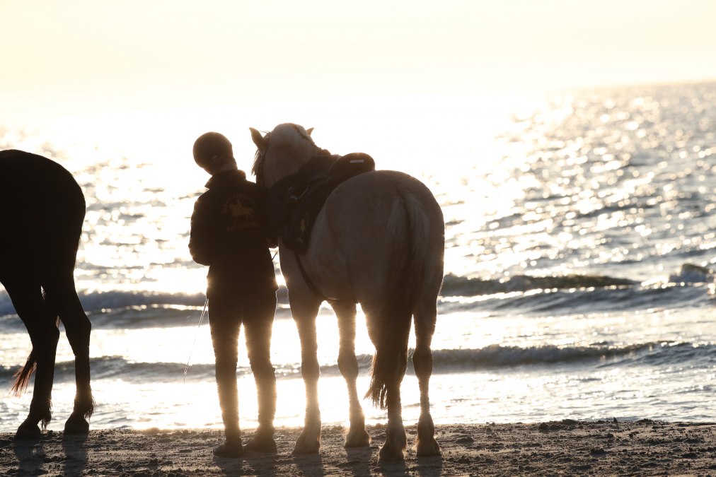 Reiten am Strand, &copy; TMV/ACP Pantel