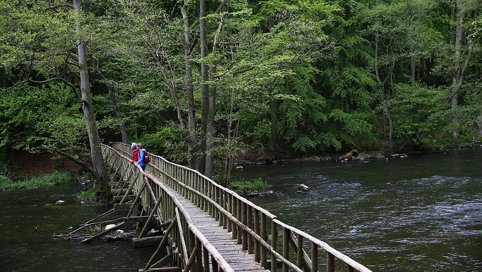 Holzbr&uuml;cke &uuml;ber die Warnow // &copy; MV-T/outdoor-visions.com