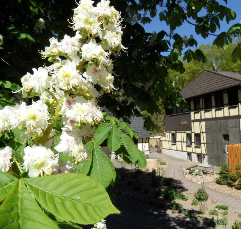 Dat Waldhus im Frühling // © Steffen Tepasse Dat Waldhus im Frühling // © Steffen Tepasse