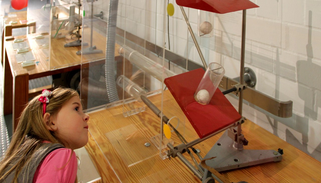 Den Geheimnissen des Fliegens auf der Spur, © Wittig Den Geheimnissen des Fliegens auf der Spur, © Wittig