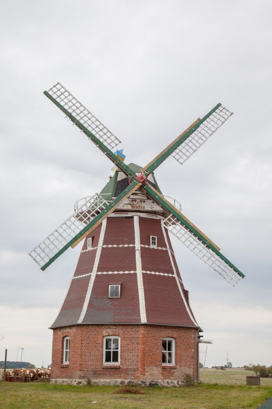 die Holländerwindmühle in Zepelin // © Frank Burger die Holländerwindmühle in Zepelin // © Frank Burger