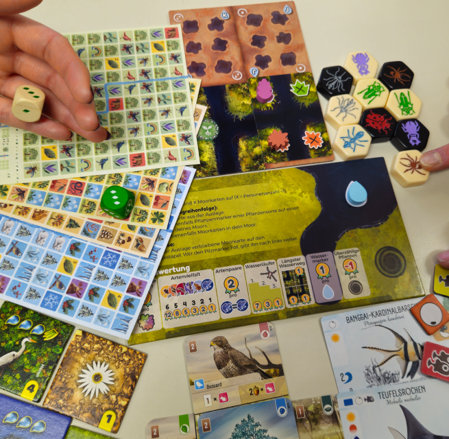 Spiele rund um die Natur gemeinsam erleben, © Müritzeum Spiele rund um die Natur gemeinsam erleben, © Müritzeum