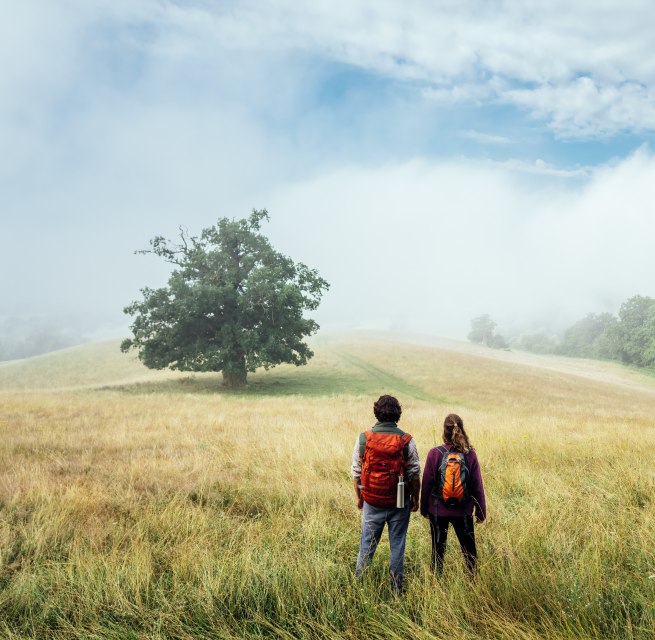 Der Naturparkweg in der Mecklenburgischen Schweiz - ein Paar steht auf einem flachen Hügel im Morgennebel