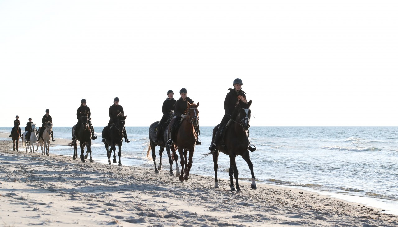 Reiten am Strand, &copy; TMV/ACP Pantel