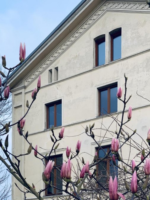 Großherzoglicher Krankenpferdestall, © Welterbeverein Schwerin Großherzoglicher Krankenpferdestall, © Welterbeverein Schwerin