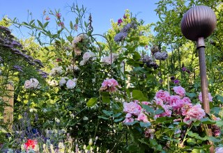 Privatgarten // © Steffi Karls Privatgarten // © Steffi Karls