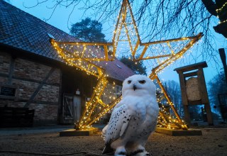 © Hansestadt Stralsund