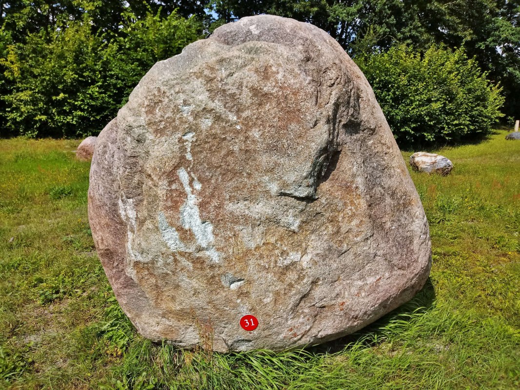 Der 18 Tonnen schwere Granitfindling ist das Massezentrum des Findlingsgartens. // © Wolfgang Mamat Der 18 Tonnen schwere Granitfindling ist das Massezentrum des Findlingsgartens. // © Wolfgang Mamat