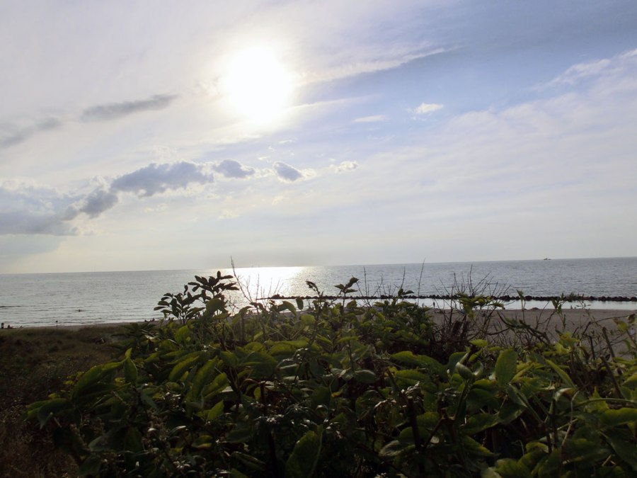 Aussicht auf die Ostsee, © Kurverwaltung Ahrenshoop · Foto Dana Schmidt Aussicht auf die Ostsee, © Kurverwaltung Ahrenshoop · Foto Dana Schmidt