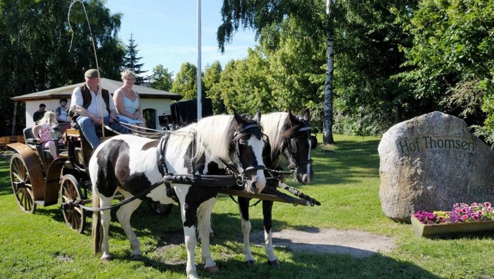 Start der Kutschfahrt // © Hof Thomsen Start der Kutschfahrt // © Hof Thomsen