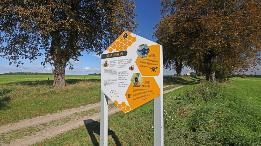 Bienenlehrpfad im Land Fleesensee_3, © TMV/Gohlke Bienenlehrpfad im Land Fleesensee_3, © TMV/Gohlke