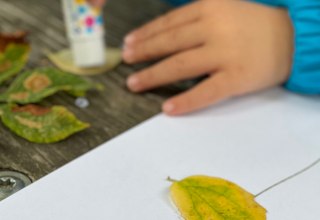 Gestalte mit Glasmalerei und Serviettentechnik bunte Herbstmotive für Zuhause. // © Kunstsammlung Neubrandenburg Gestalte mit Glasmalerei und Serviettentechnik bunte Herbstmotive für Zuhause. // © Kunstsammlung Neubrandenburg