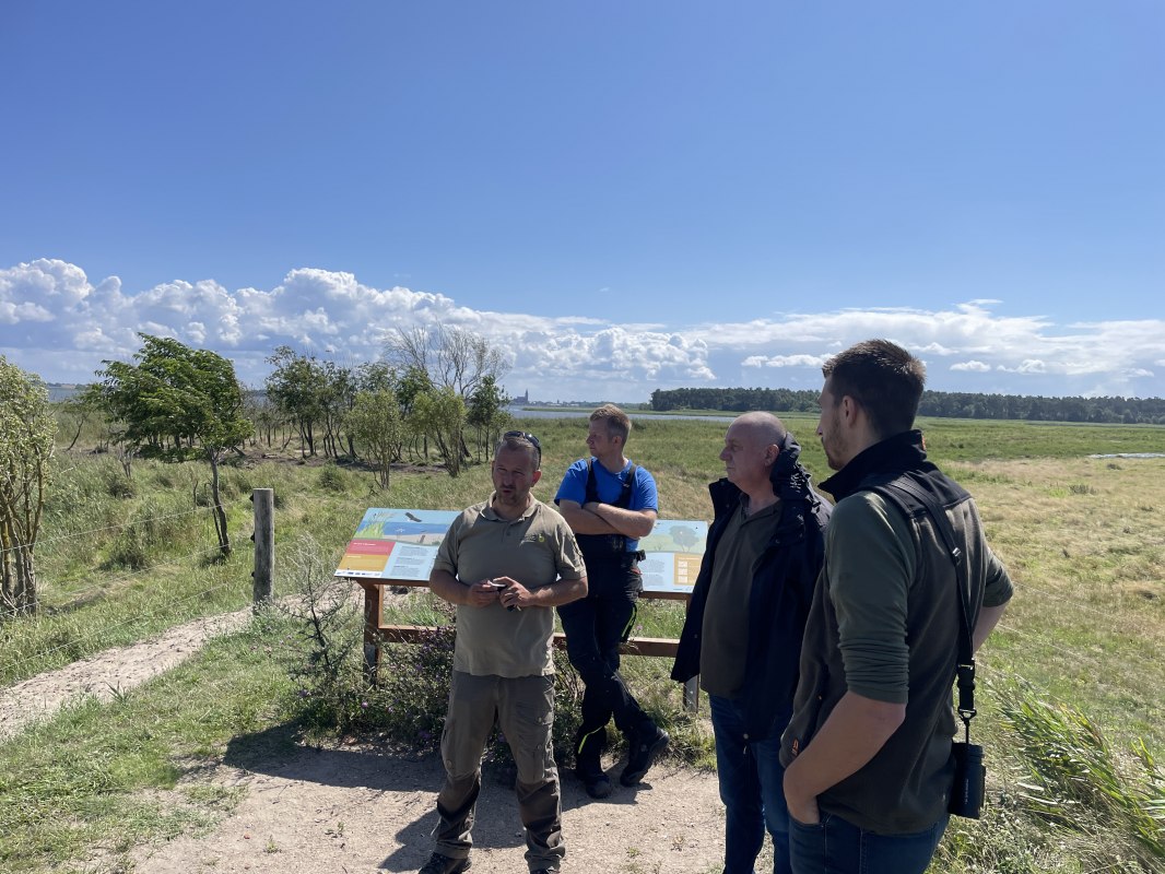 © TZ Südliche Boddenküste © TZ Südliche Boddenküste